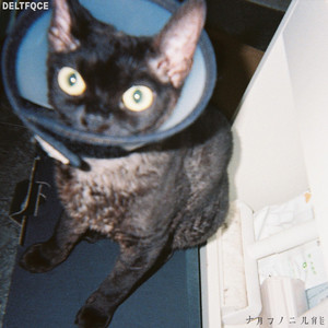 Gay高潮喷汁出精合集
